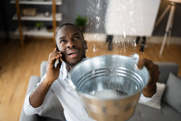 Best Mold removal after water damage  in Yuba City, CA