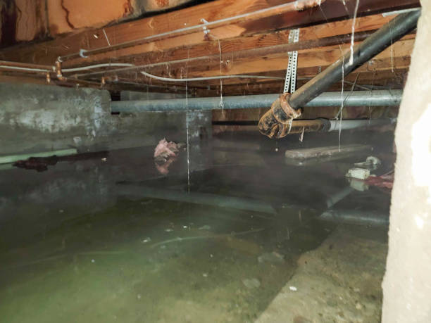 Best Water damage contractors near me  in Yuba City, CA