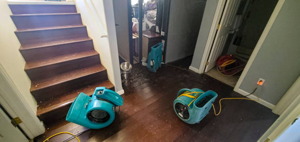 Best Fire Damage Restoration  in Yuba City, CA