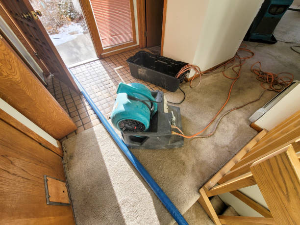 Best Sewage cleanup and water damage restoration  in Yuba City, CA