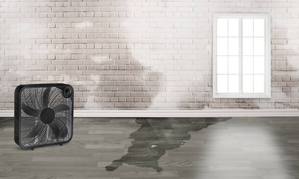 Best Water damage restoration cost  in Yuba City, CA