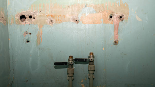 Best Sewage cleanup and water damage restoration  in Yuba City, CA