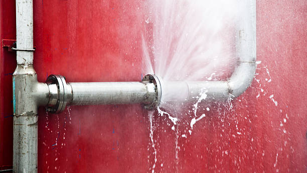 Best Flooded house restoration  in Yuba City, CA